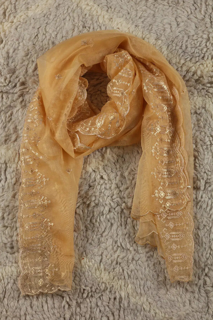 Whimsical Organza Beige Dupatta