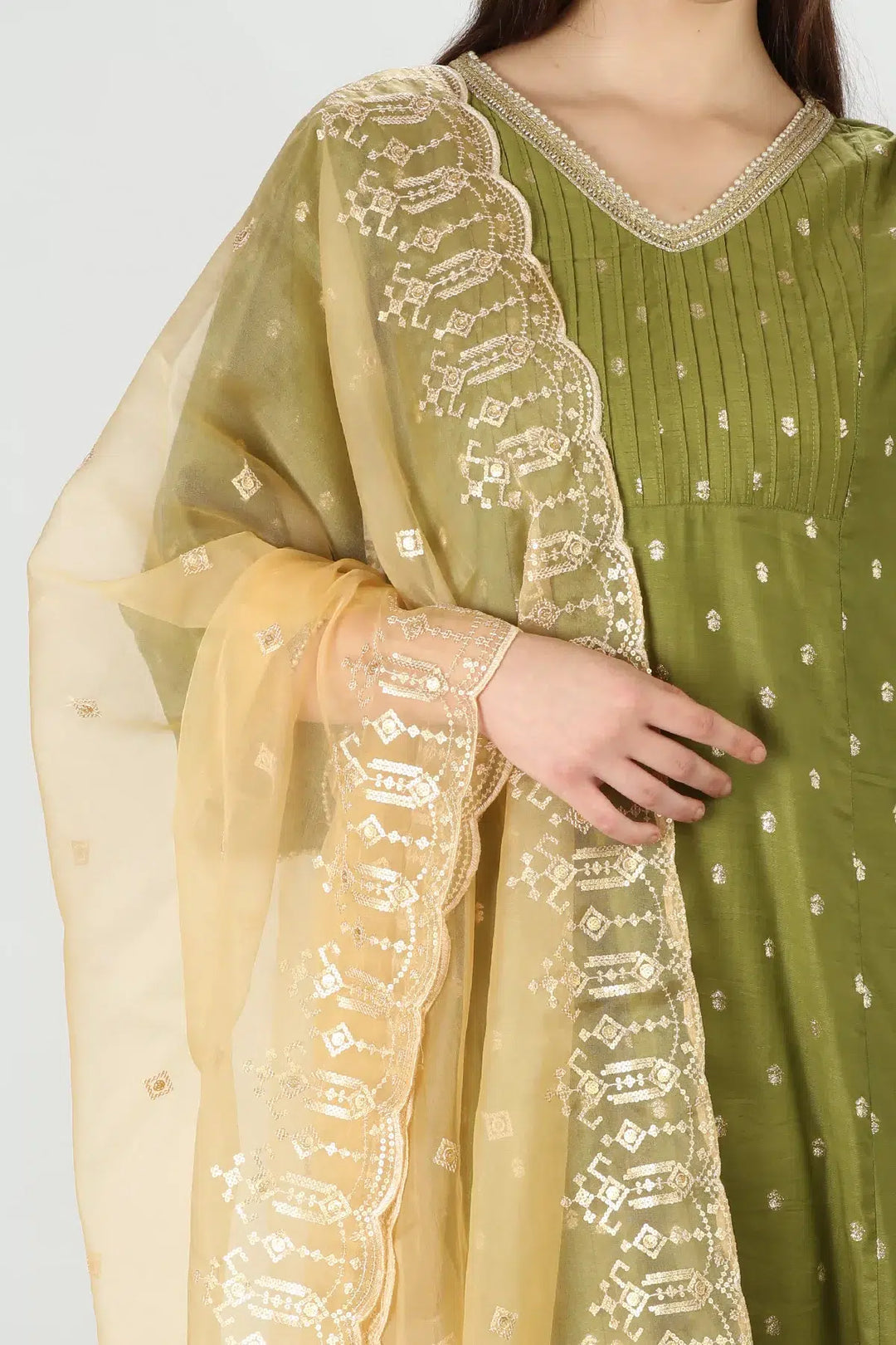 Whimsical Organza Beige Dupatta