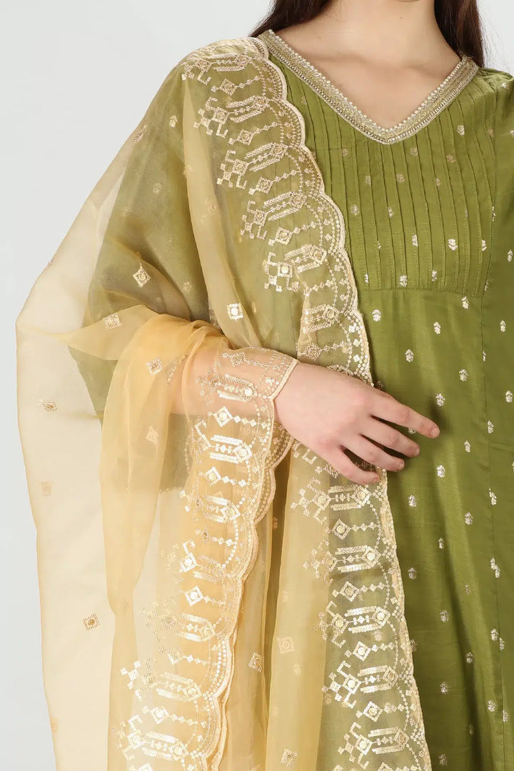Whimsical Organza Beige Dupatta