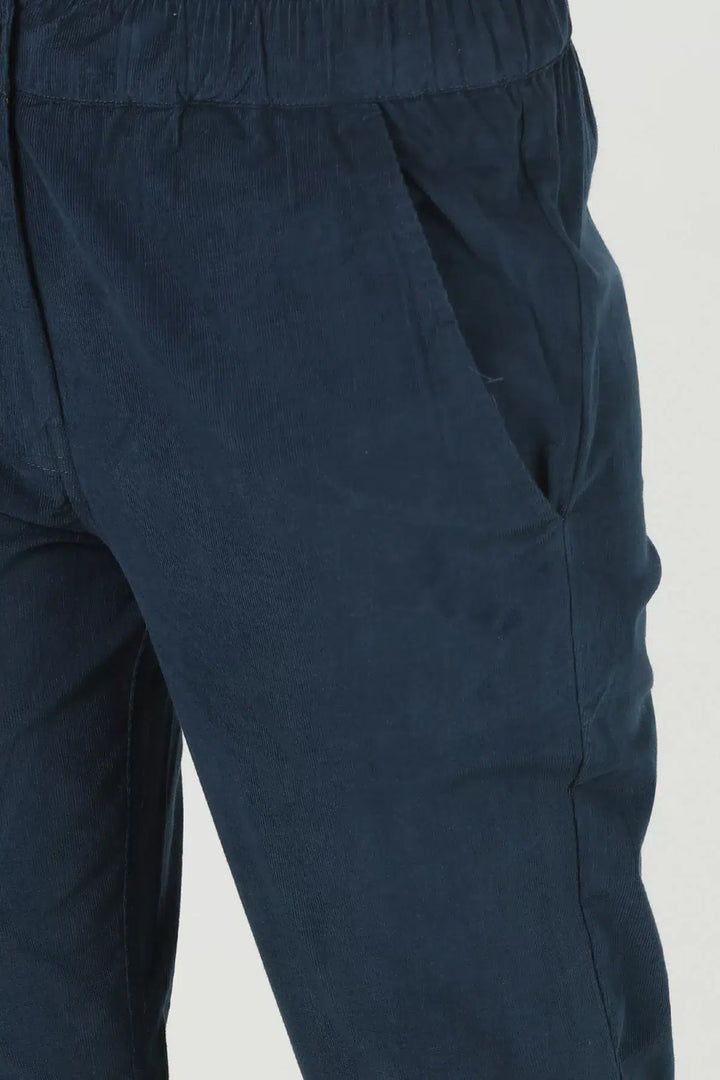 Blue Solid Regular Pants