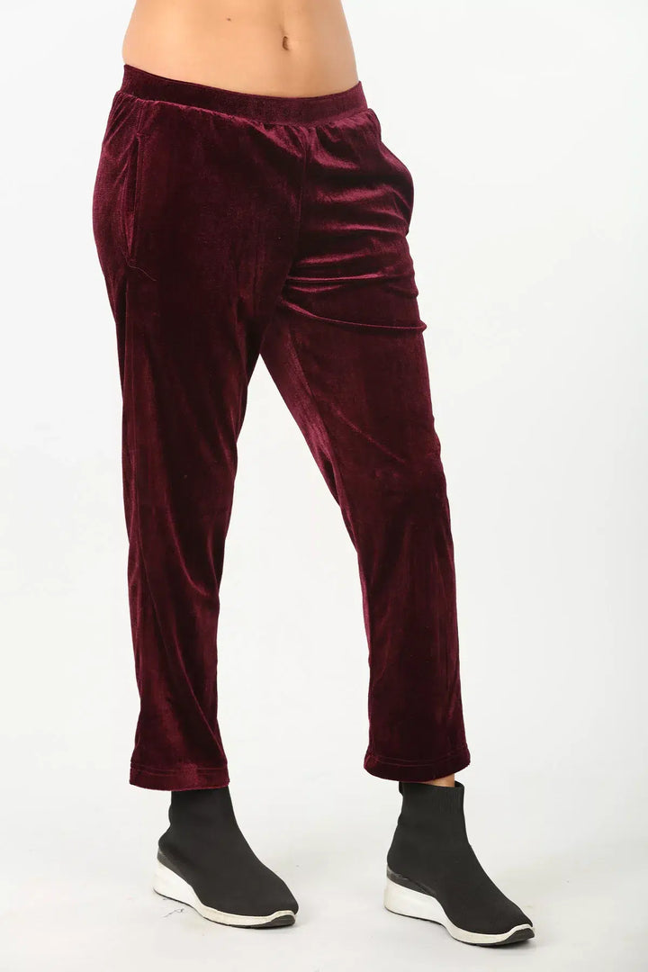 Velvet Lycra wine solid Pants