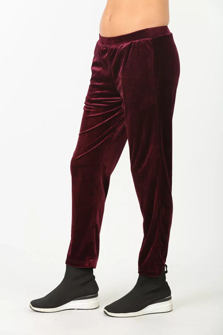 Velvet Lycra wine solid Pants