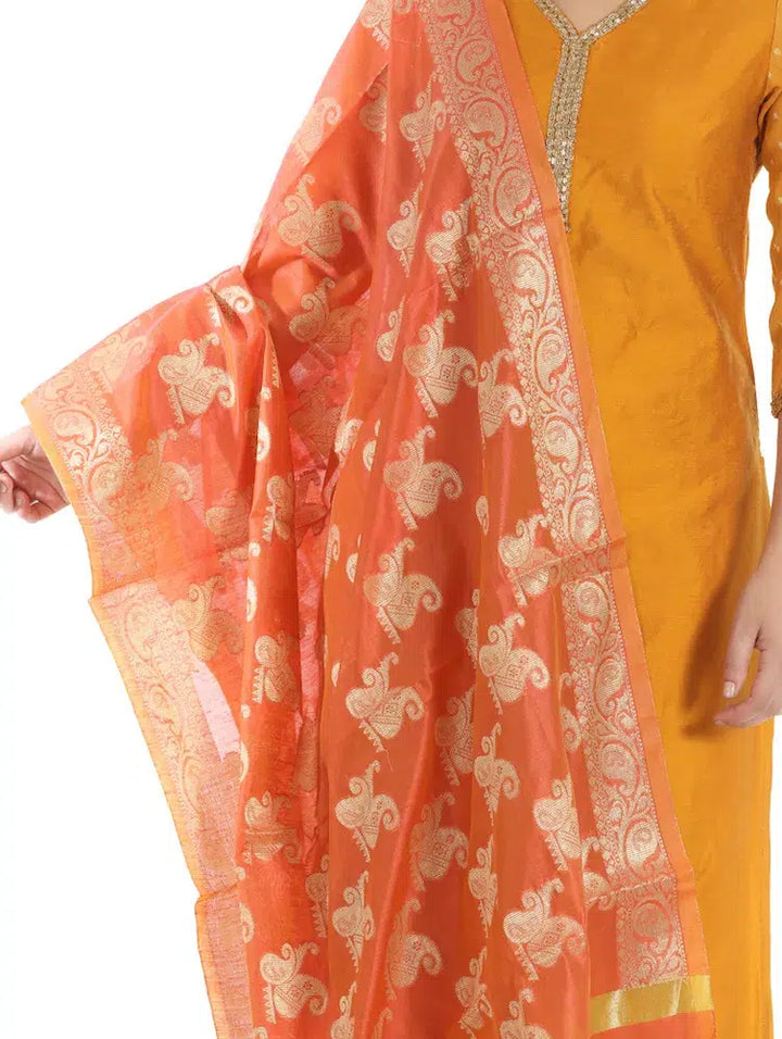 Coloured Silk &amp; Georgette Kurti
